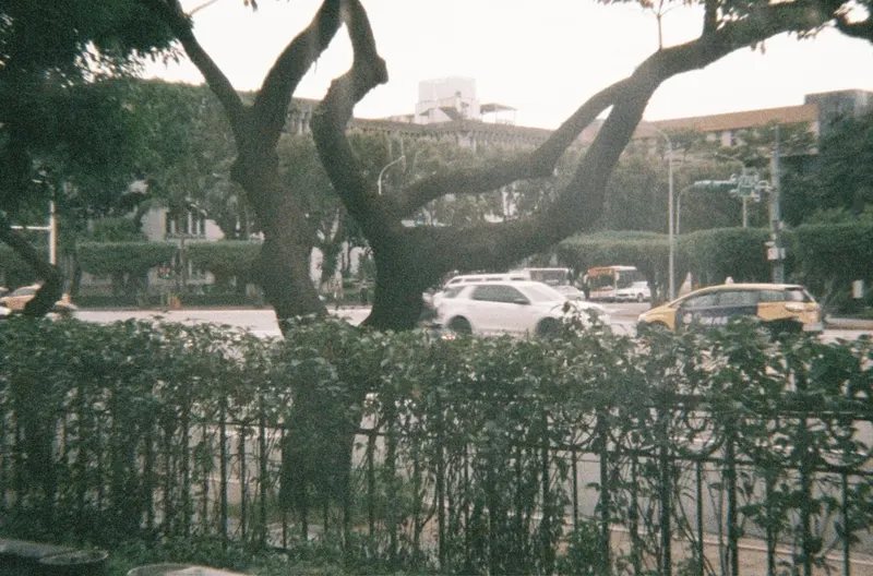 Film GIF worldtour-roll-three-R1-02802-0013-v2