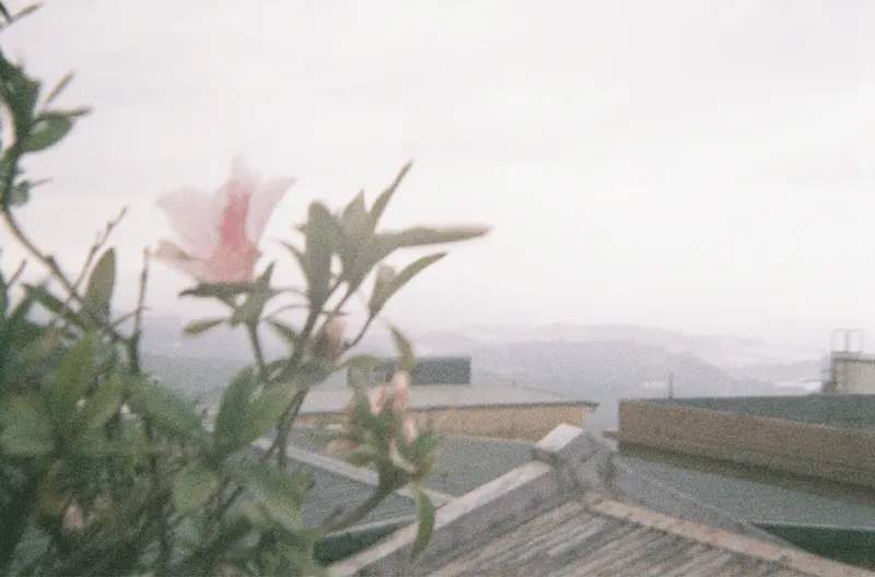 Film GIF worldtour-roll-three-R1-02802-001A-v2