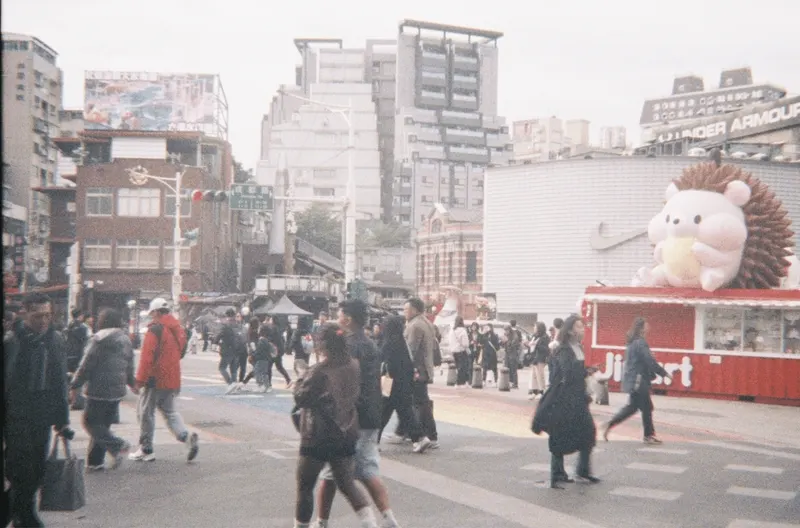 Film GIF worldtour-roll-three-R1-02802-003A-v2