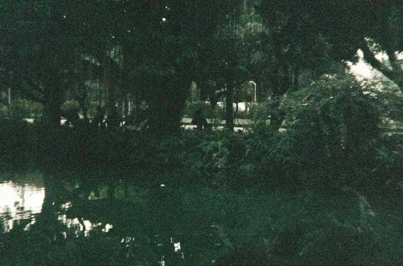 Film GIF worldtour-roll-three-R1-02802-009A-v2