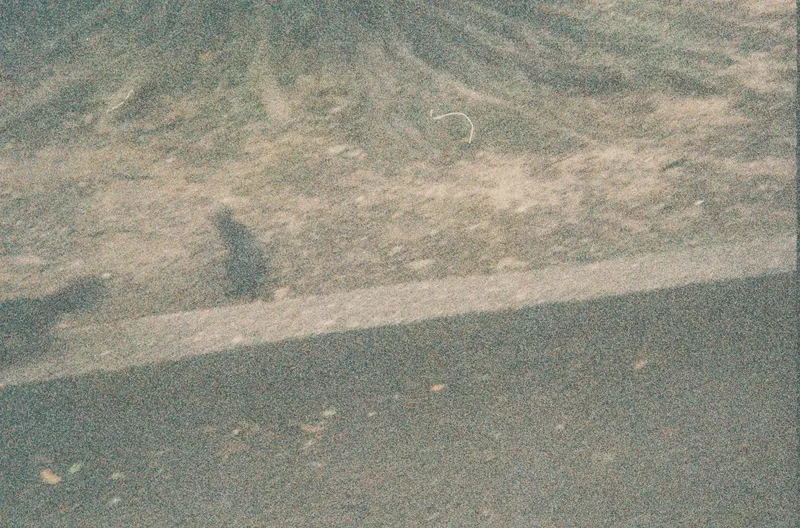 Film GIF worldtour-roll-three-R1-02802-011A-v2
