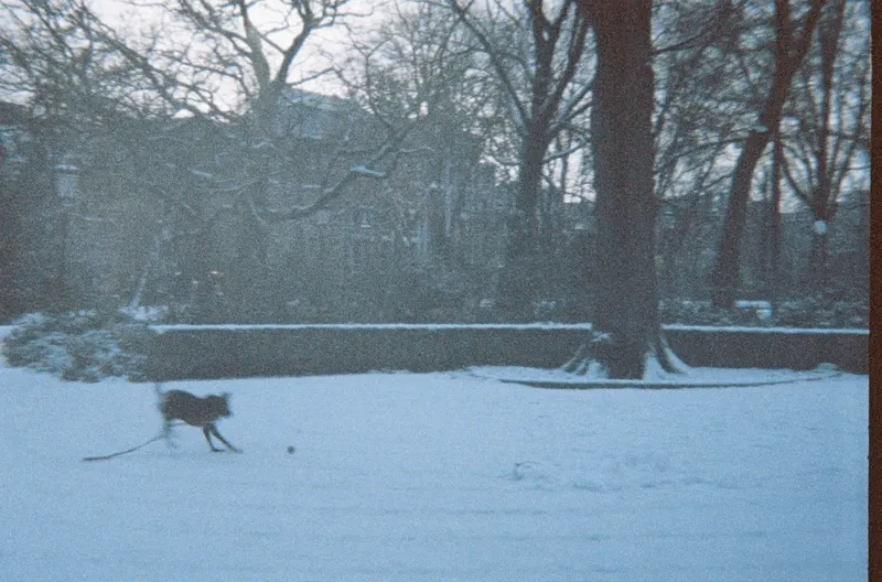 Film GIF worldtour-roll-two-R1-02808-0009-v2