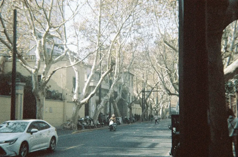 Film GIF worldtour-roll-two-R1-02808-0030-v2