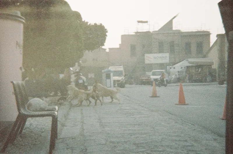 Film GIF worldtour-roll-two-R1-02808-018A-v2